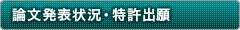 論文発表状況・特許出願